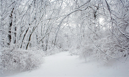 大雪.jpg